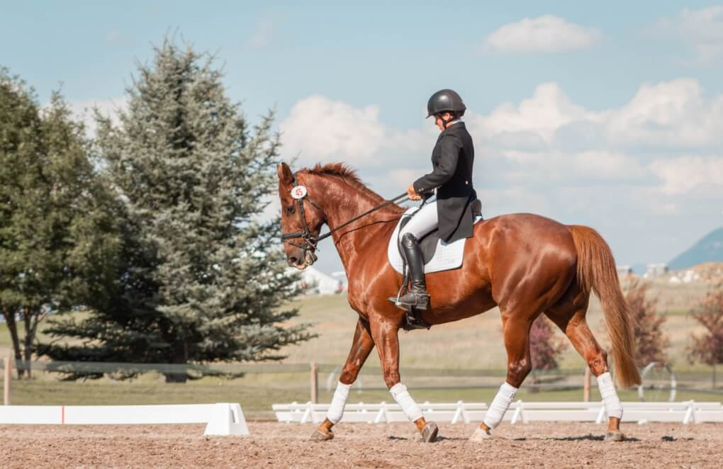 Rid'up, étrier équitation innovant